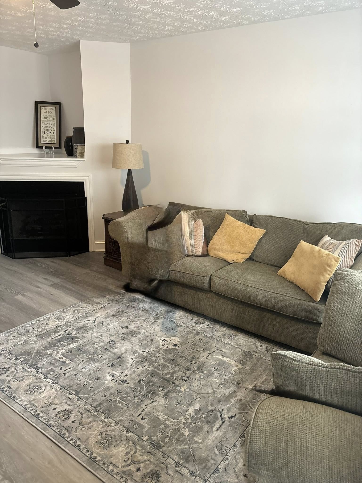 577817653 10161984981008341 5924469720101565288 n