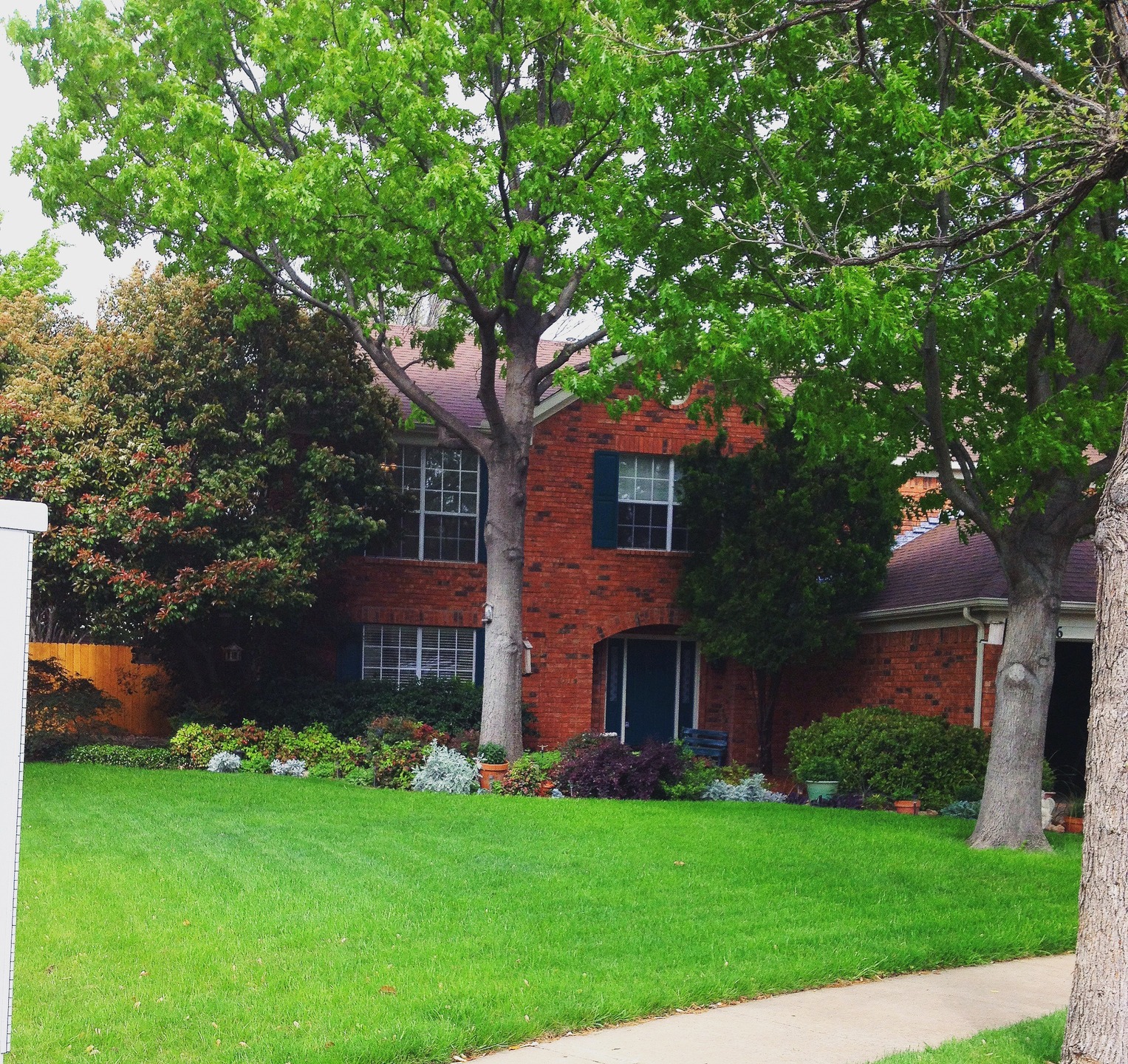 Primary Purpose Berkley House