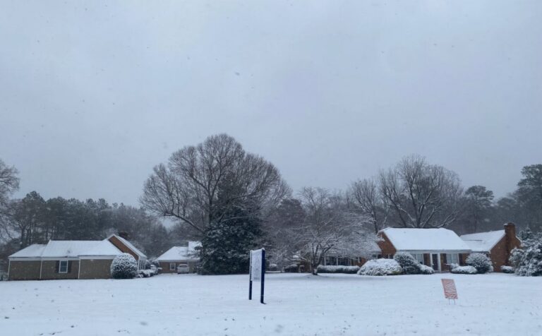 605361247 1302461805246032 5043482158010473128 n 768x476