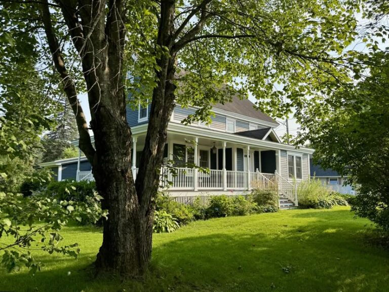 Michaels House 768x576